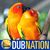 Ria Grace Guiao Montinola's profile image