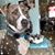 Nicole Kettwig's profile image