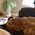 Marsha Albert Wechsler's profile image
