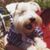 Barb Reinert's profile image