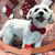 Carol Paul Stein's profile image