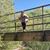 Stephenie Lagan Crossland's profile image