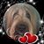 Ruth Madden's profile image
