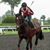 Lindsey Brook Oaks's profile image
