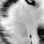 Smartlinkusa Washington's profile image