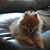 Patti Lomax Vicory's profile image