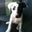 Zodie Rich's profile image