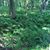 Kathy Lumb Lamaina's profile image