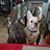 Heather Hames-Spears's profile image