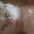 Peter Gunn's profile image