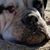 Theresa Wentzell's profile image