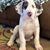 Cheryl Miller McWilliams's profile image
