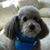 Merilyn Speer's profile image