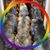 Gaylein Ford's profile image