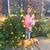 Linda Robbins's profile image