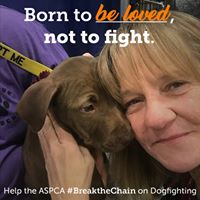 Paulette Thompson's profile image