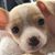 Linda Burgener's profile image