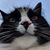 Krista Brockwood's profile image