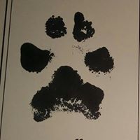 Andrea Patton's profile image