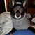 Micky Conard's profile image