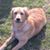 Jo D. Stark's profile image