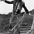 David Stackhouse's profile image