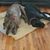 Wendell Martin's profile image