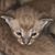 Meri Selby Phillips's profile image