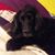 John Palmatier's profile image
