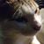 Richard Andersen's profile image