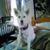 Henry Eilers's profile image