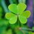 Liz Wassell-Iannuzzi's profile image