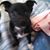 Julie Mitchell's profile image