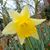 Linda Kemp's profile image