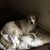 Michael Heraty's profile image