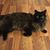 Penny Hatchett's profile image