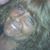 Tara Ferguson's profile image