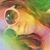 Brooke Hunter's profile image