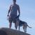 Matt DeLullo's profile image