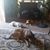 Cheryl J Donovan's profile image