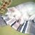 Pam Benson McCord's profile image