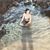 Lily Teters's profile image