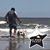 David Vasquez's profile image