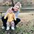 Courtney Alisha Hamrick's profile image