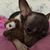 Isa Garcia's profile image