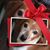 Barbara Salera's profile image