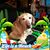 Scott Ryden's profile image