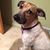 Sue Tremont's profile image