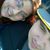 Casey Haggstrom Gilroy's profile image