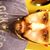Evan Eckerle's profile image